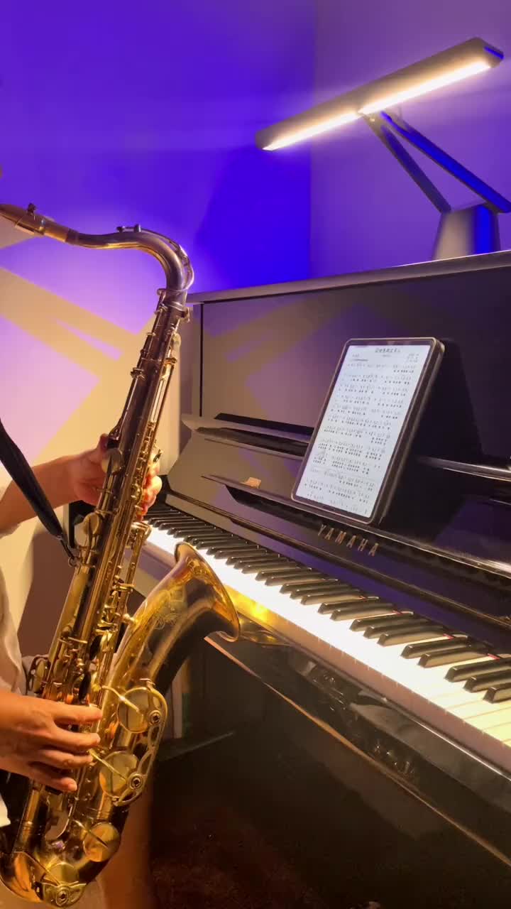 流行风萨克斯第二集这世界那么多人莫文蔚萨克斯萨克斯演奏抖音小