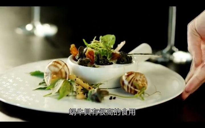 盐为什么能杀死蜗牛?——蜗牛是害虫还是益虫?(完结)哔哩哔哩bilibili