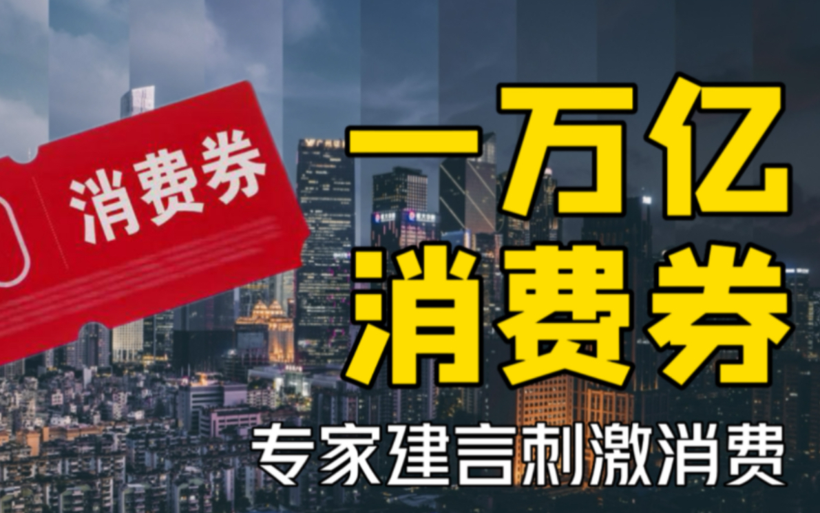 专家建议发1万亿消费券,最佳姿势来了!网友:先给我来10万哔哩哔哩bilibili