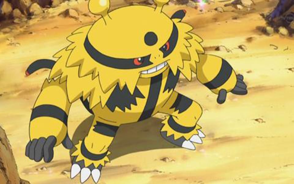 妙蛙杀手,电击魔兽?【白玫瑰剑盾排位对战62】