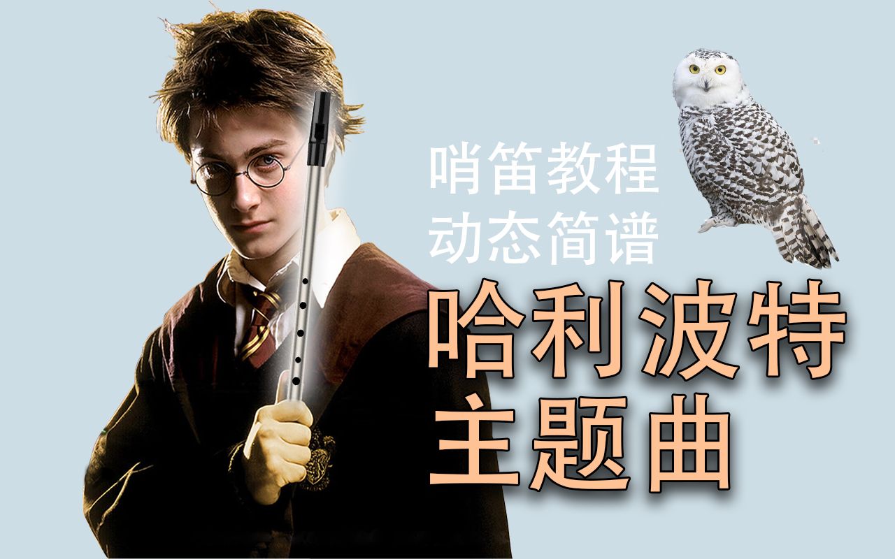 【哨笛教程】哈利波特主题曲 海德威变奏曲 Hedwig's Theme Harry Potter 哨笛教程【熊猫教程】哔哩哔哩bilibili