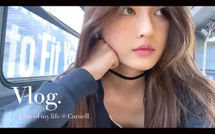 Скачать видео: 美国藤校留学vlog｜康奈尔大二学生的一天 上课 随地大小学 模特 跳舞