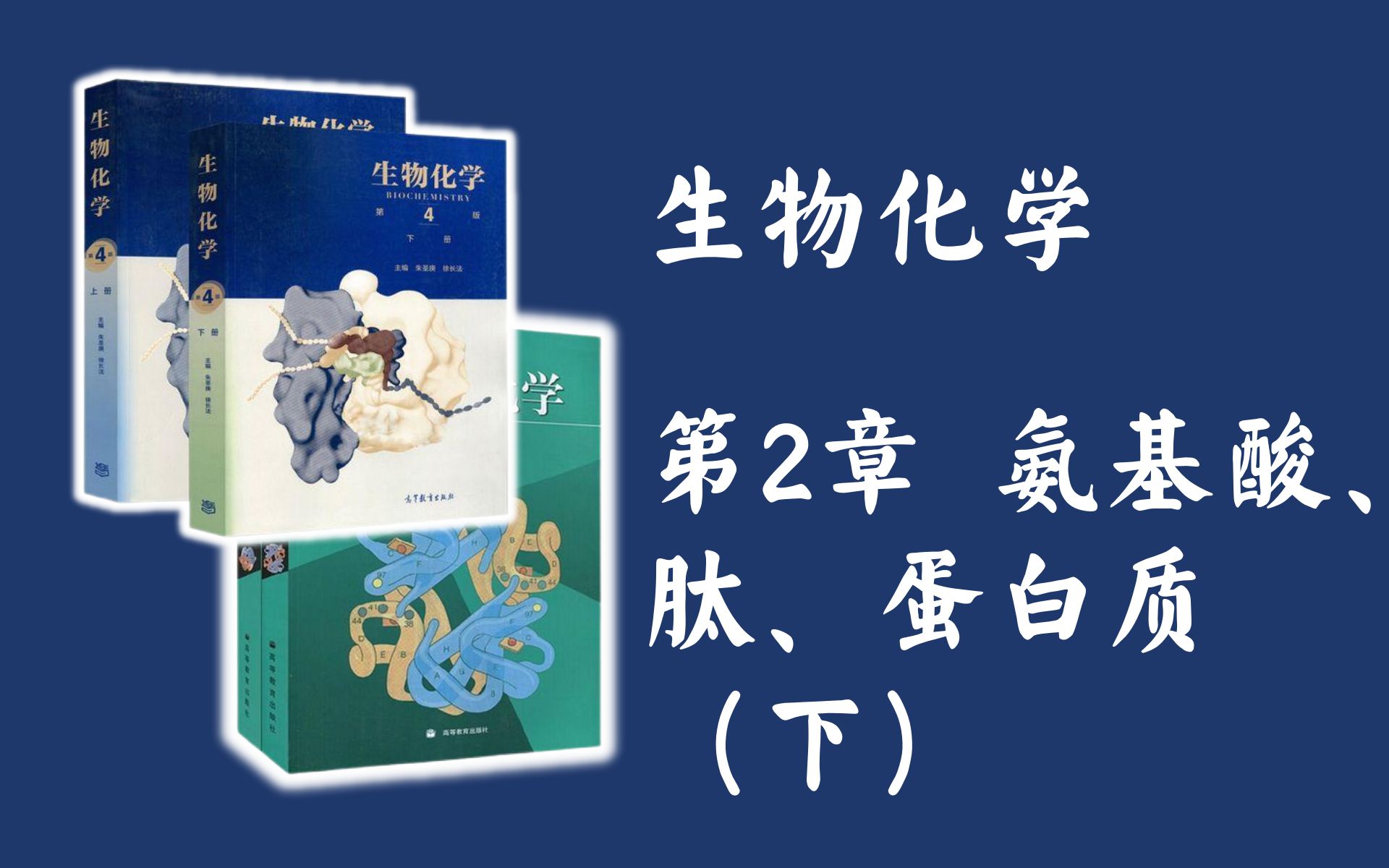 【生物化学】第2章氨基酸、肽、蛋白质(下)24级救命的稻草!25级提前开跑!!哔哩哔哩bilibili