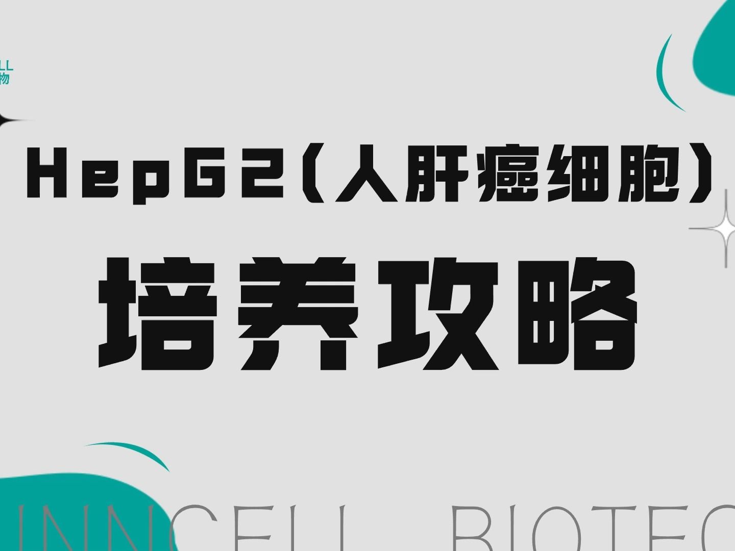 HepG2细胞培养攻略哔哩哔哩bilibili