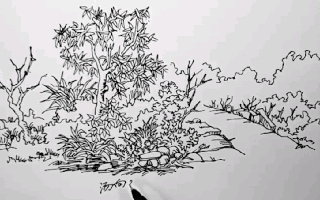 钢笔画灌木丛图片
