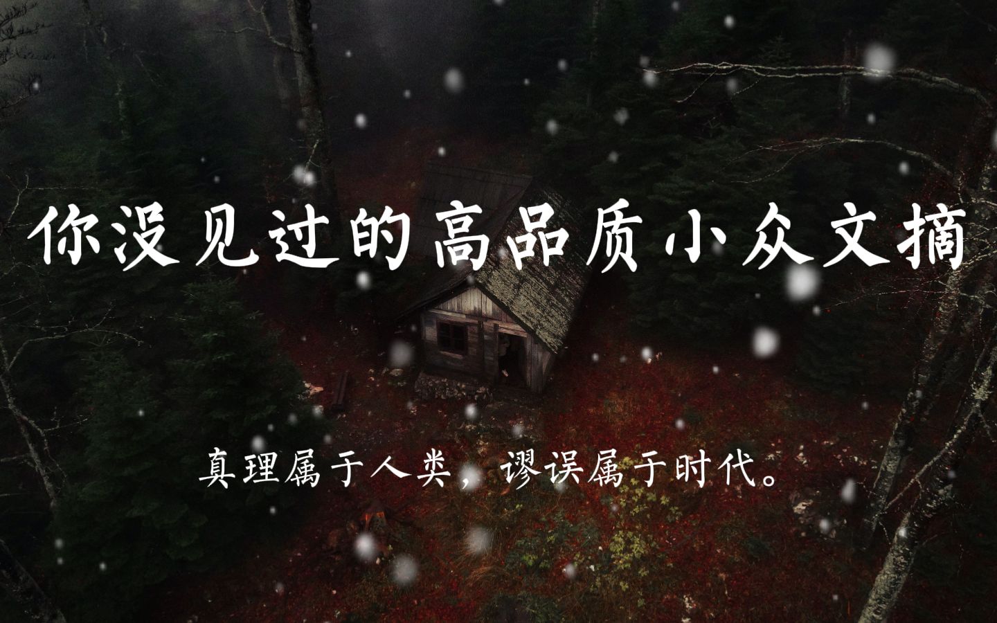 【文摘】那些你没见过的高品质小众句子文案 |“真理属于人类,谬误属于时代.”哔哩哔哩bilibili