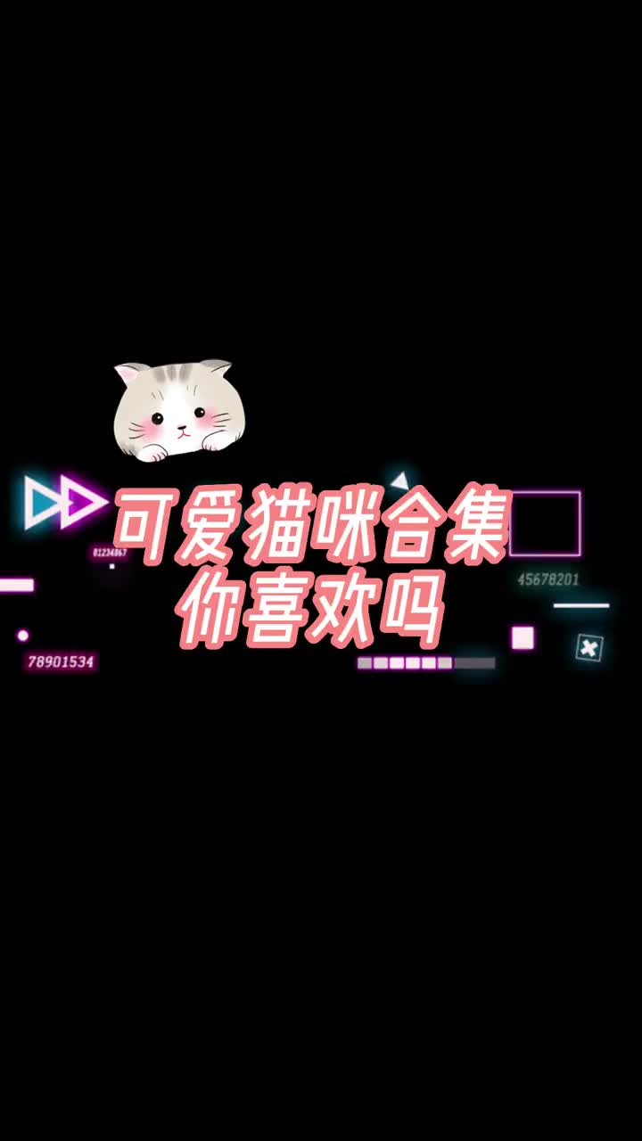 可爱猫咪合集哔哩哔哩bilibili