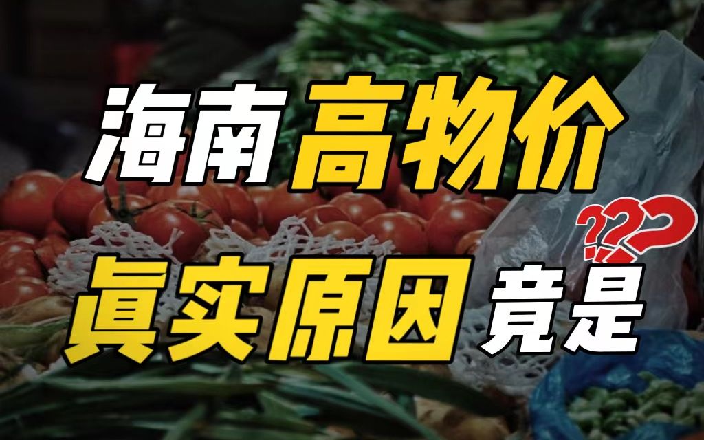 海南物价其实并不高!揭秘不为人知的秘密真实,很少人敢说……哔哩哔哩bilibili