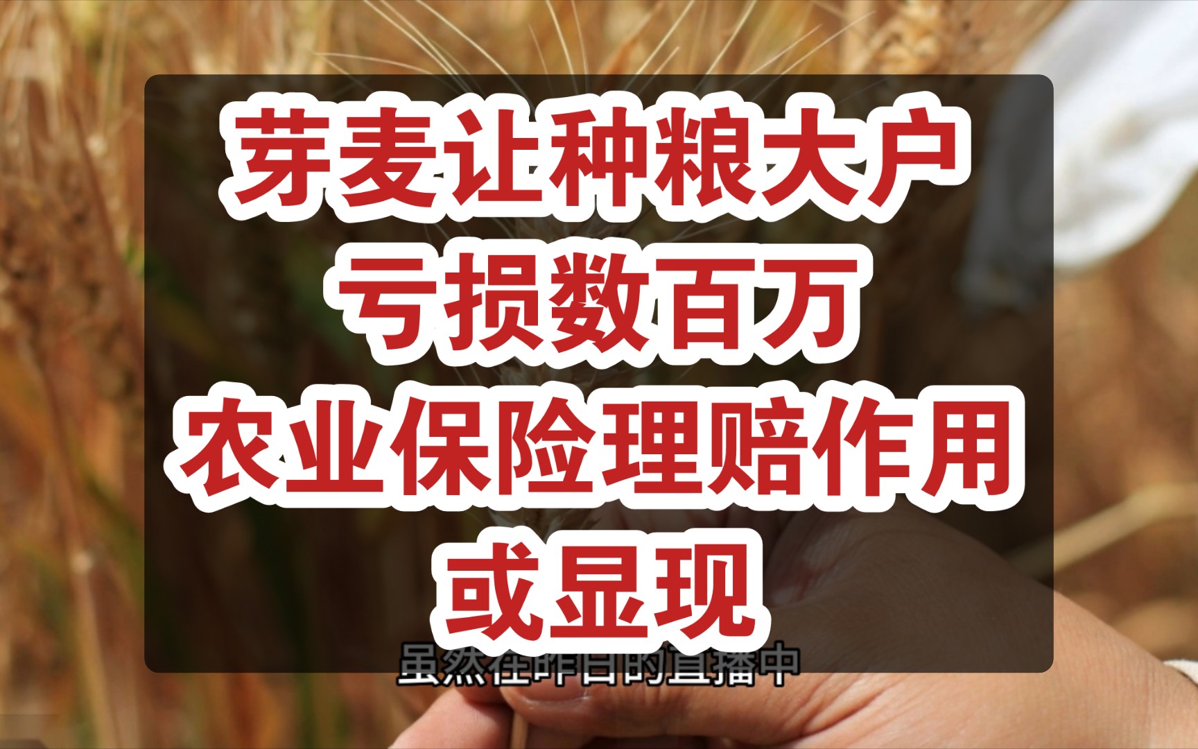 芽麦价格远远低于市场价,种粮大户亏损三四百万元,河南发通知要求做好农业保险理赔工作哔哩哔哩bilibili