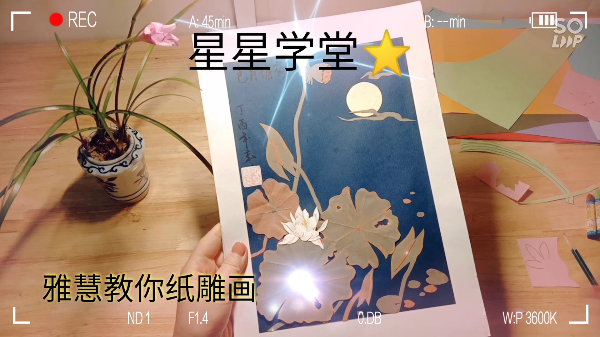 星星学堂⭐️~雅慧教你纸雕画哔哩哔哩bilibili