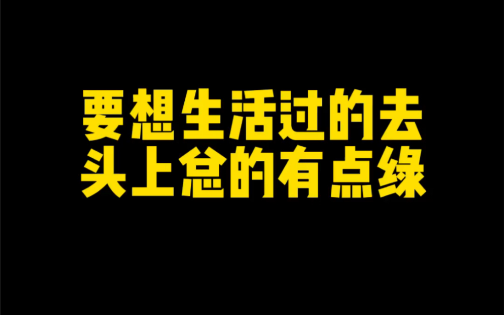 这个狗医生怎么样狗医生哔哩哔哩bilibili