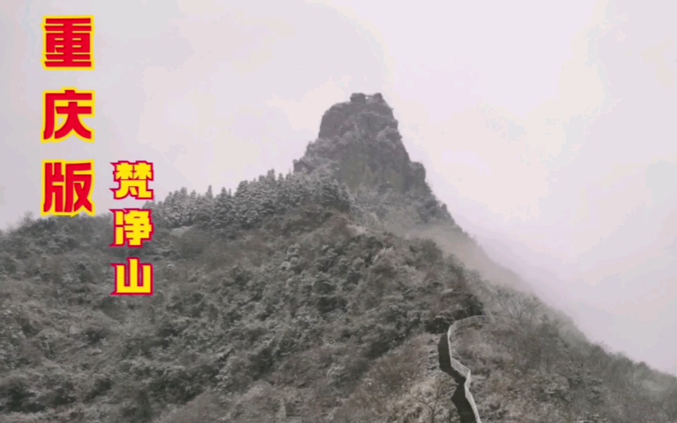 重庆南川小指拇山,被称为重庆“梵净山”,少为人知啊!哔哩哔哩bilibili