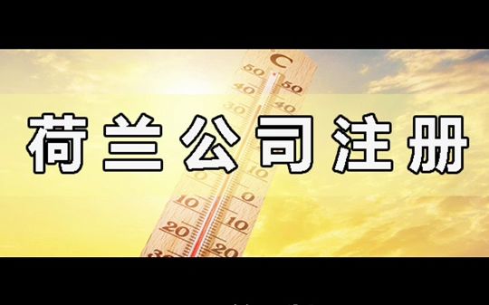 荷兰公司注册条件哔哩哔哩bilibili