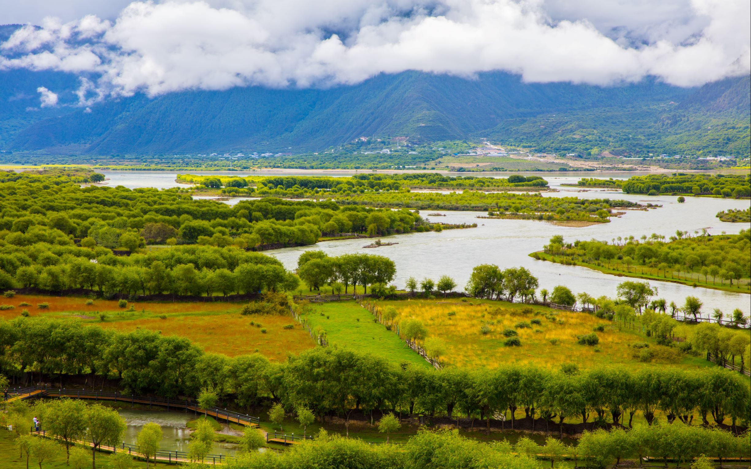 畅行林芝自驾之尼洋河谷3u9a0160