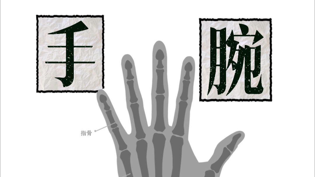 【有画直说】手腕（上）