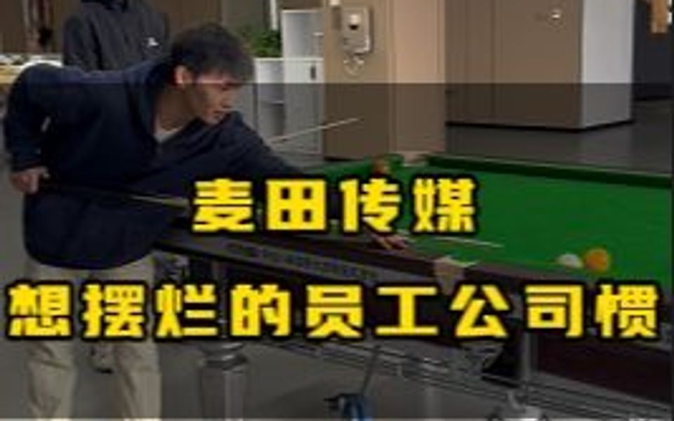 麦田传媒想摆烂的员工公司惯哔哩哔哩bilibili