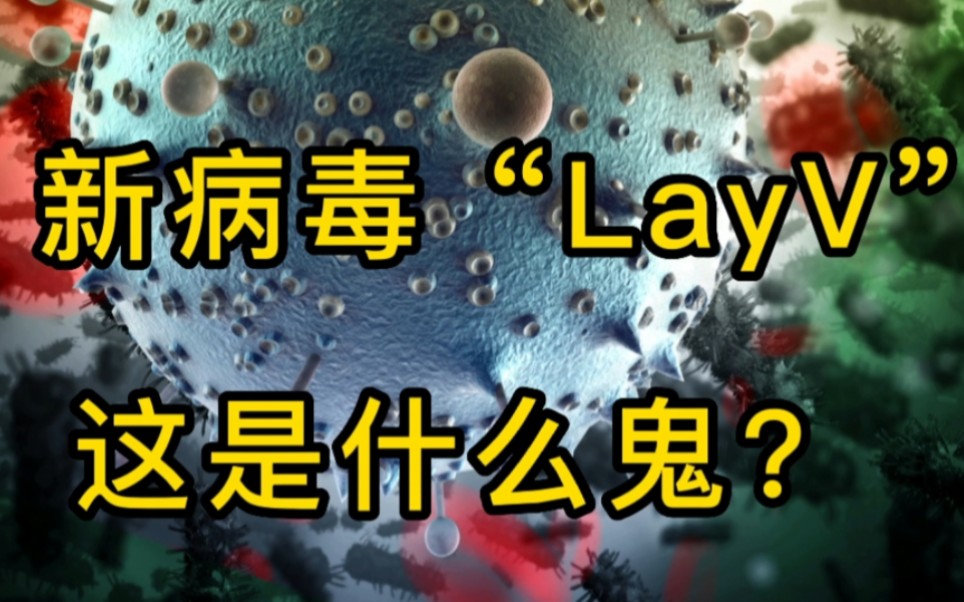 新病毒“LayV”崭露头角,这又是个什么鬼?哔哩哔哩bilibili