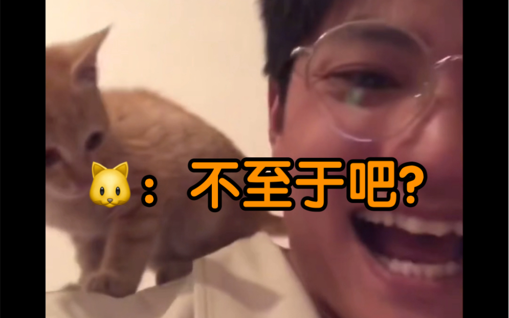 [图]讲一下捡来的小猫咪和我这半年的故事 爱你