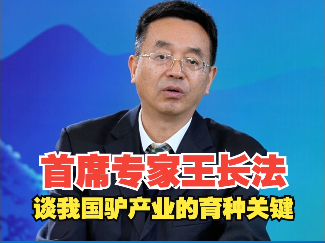 首席专家王长法谈我国驴产业的育种关键哔哩哔哩bilibili