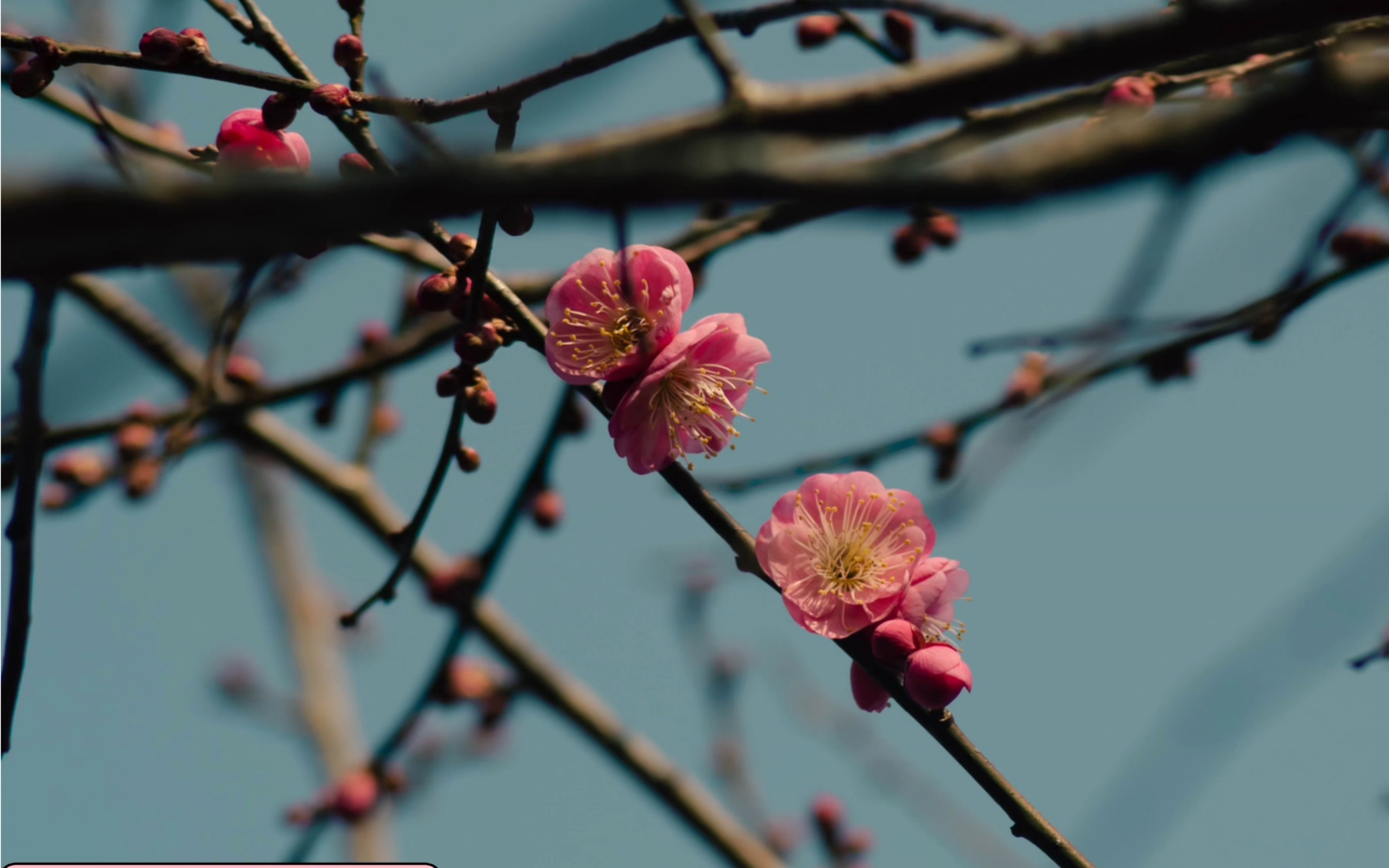何老师的摄影日常,记录生活