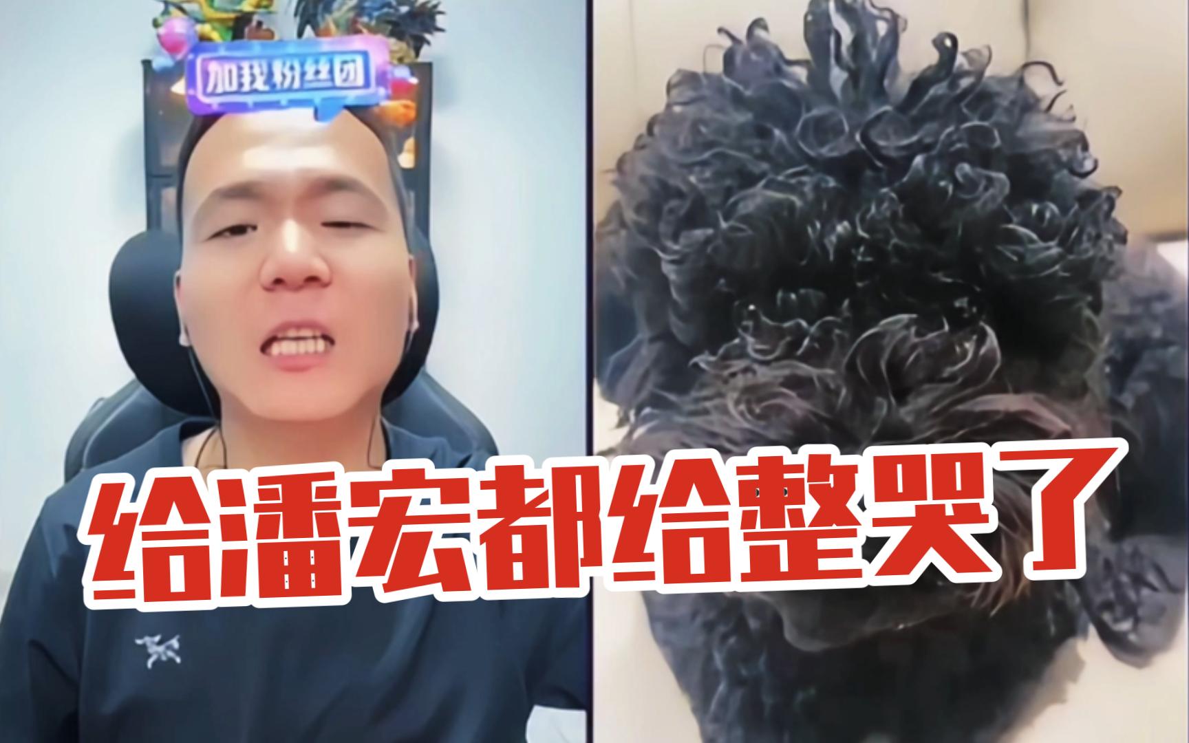 给潘宏都给整哭了,心眼子真多!-潘宏爱玩狗--潘宏爱玩狗--哔哩哔哩视频