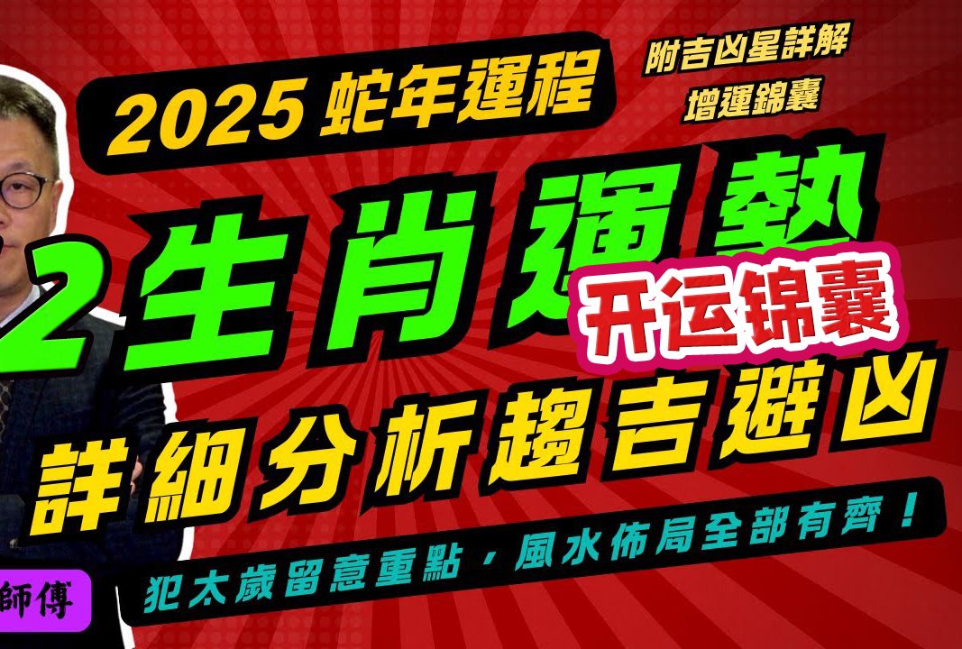 2025年十二生肖运势超详细讲解!附开运锦囊!I 龙震天师傅哔哩哔哩bilibili