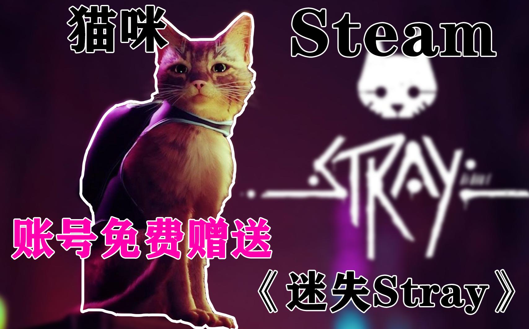 免费赠送两个《迷失stray》账号?!猫咪粉快进来看,直接登录下载游玩,Steam离线账号分享单机游戏热门视频