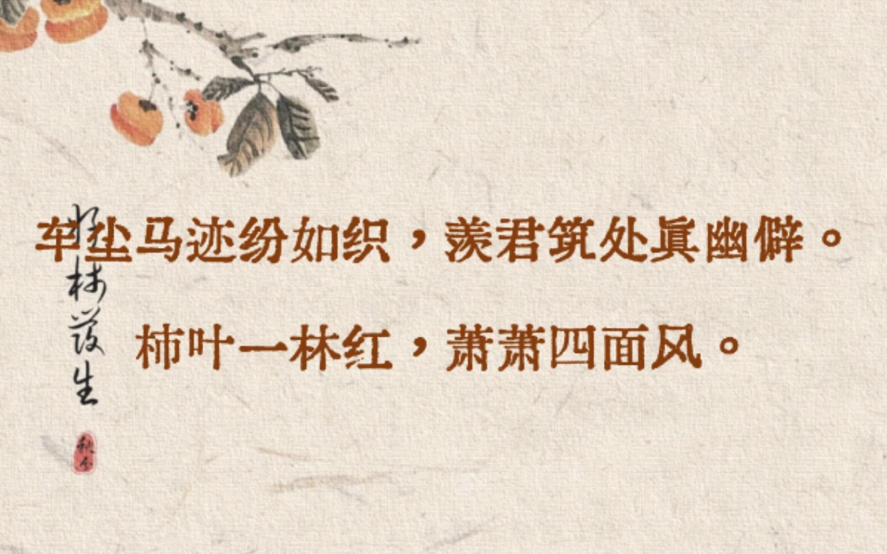 “柿叶翻红霜景秋,碧天如水倚红楼.” | 有哪些藏于诗词中的「柿」?哔哩哔哩bilibili