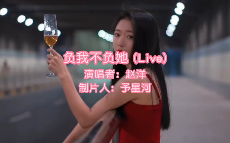 负我不负她 赵洋 经典流行热门歌曲