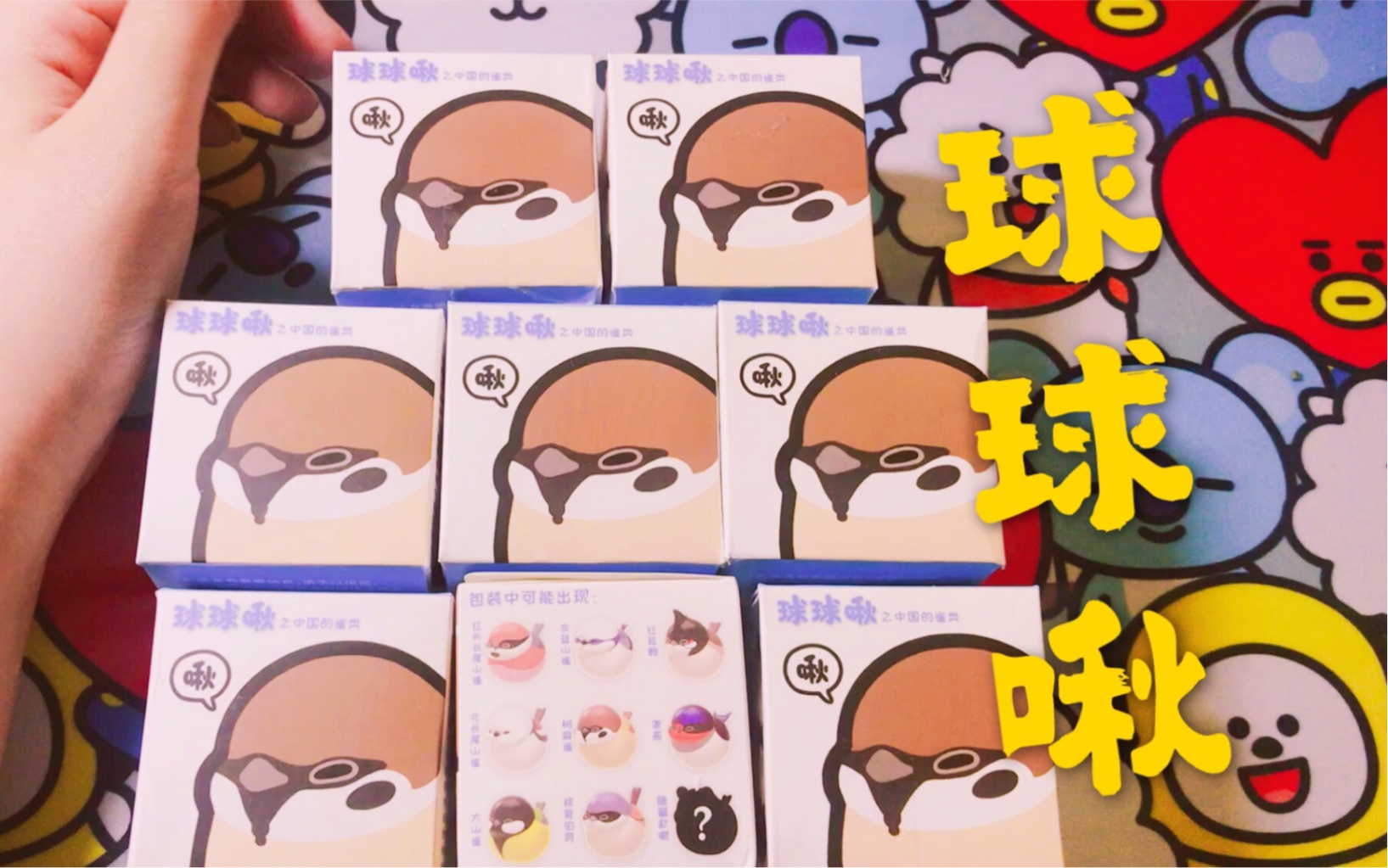 球球啾之中国的雀类盲盒开箱超可爱的啾啾送一只给你们