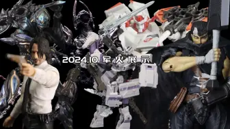 Download Video: 【随便玩玩-极速版】2024年10月军 （玩）火（具）展示