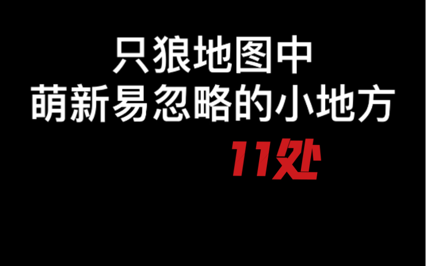 只狼地图中 萌新容易忽略的11个地方只狼:影逝二度攻略