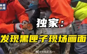 Tải video: 独家视频：发现黑匣子现场画面