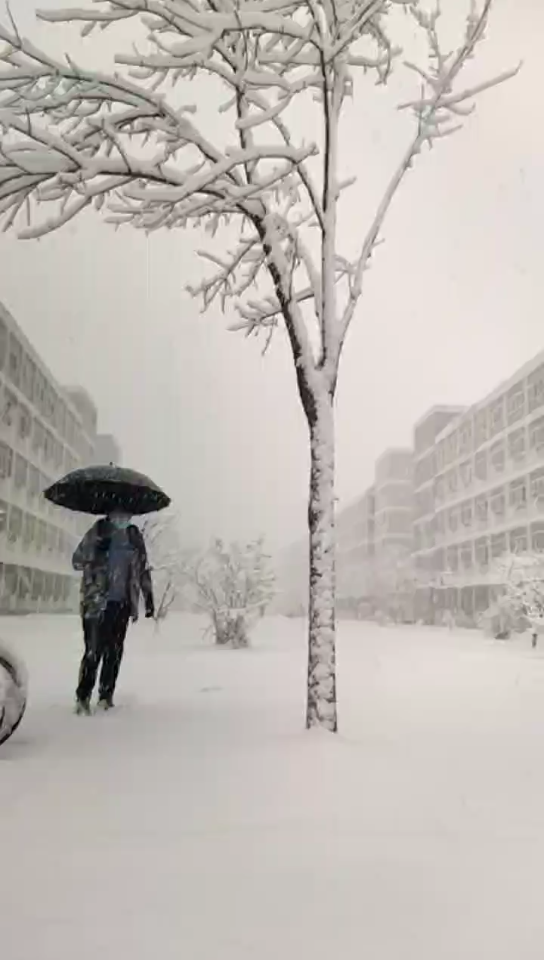 [图]初春的雪