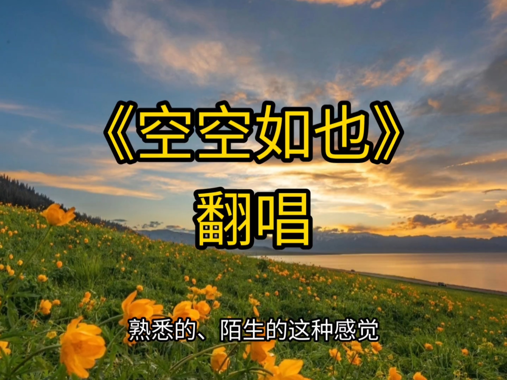 《空空如也》 翻译