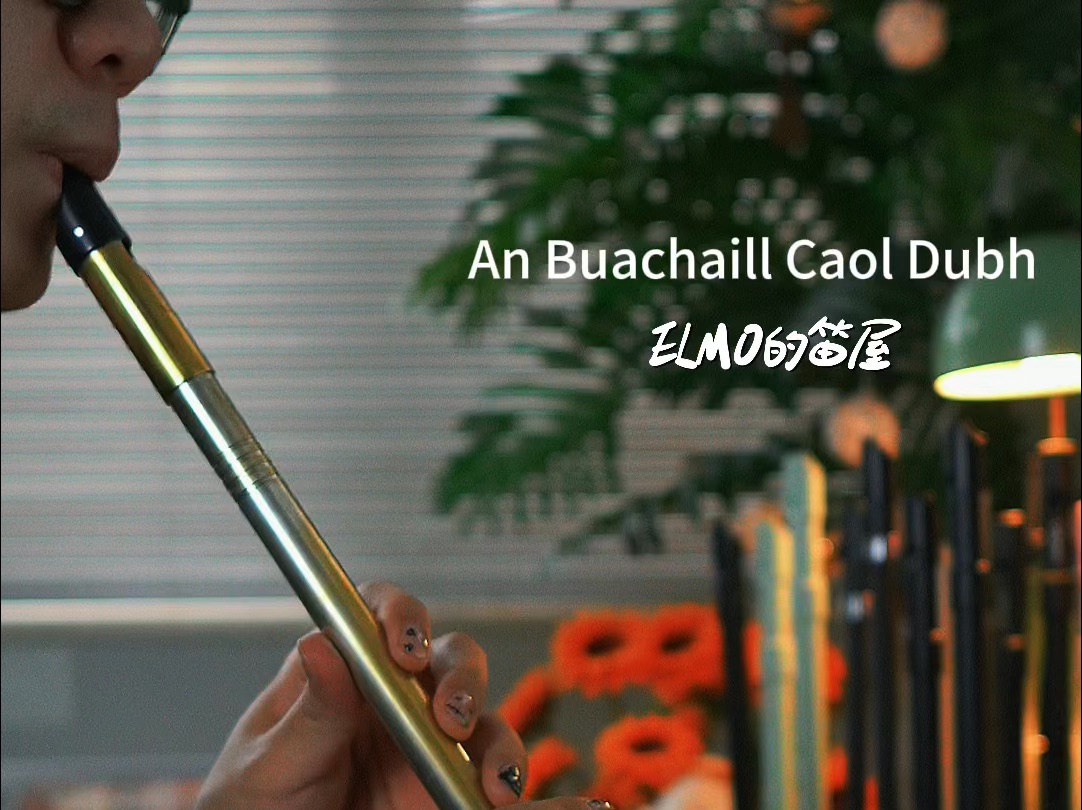 爱尔兰哨笛《An Buachaill Caol Dubh》想起了我在草原放羊的日子哔哩哔哩bilibili