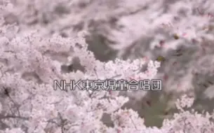 Download Video: 【日本民歌】樱花-東京児童合唱团