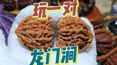 龙门涧核桃-哔哩哔哩_Bilibili