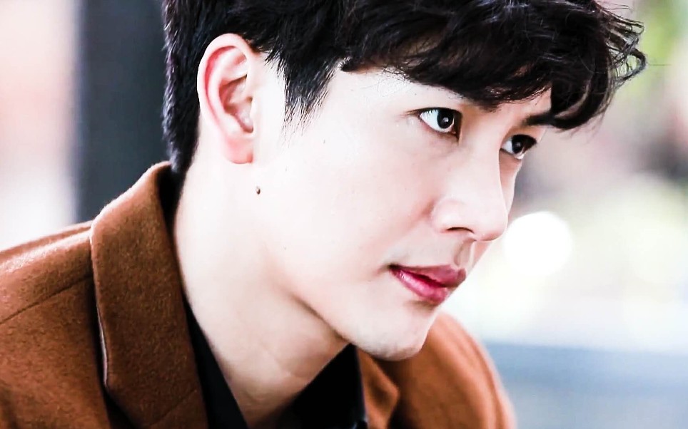 【推哥】惊鸿一面|温柔的姑父|吹落的树叶混剪_哔哩哔哩_bilibili