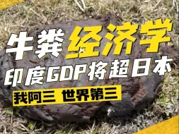 Descargar video: 【牛粪经济学】印度GDP将超日本，真成东方大国了？