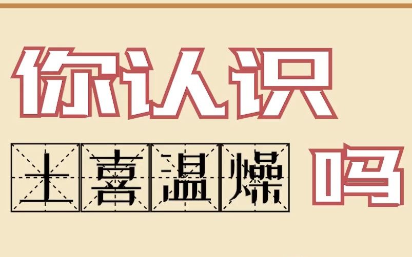 【百科知识】老养生人和翻硕考研人才知道的“土喜温燥”哔哩哔哩bilibili