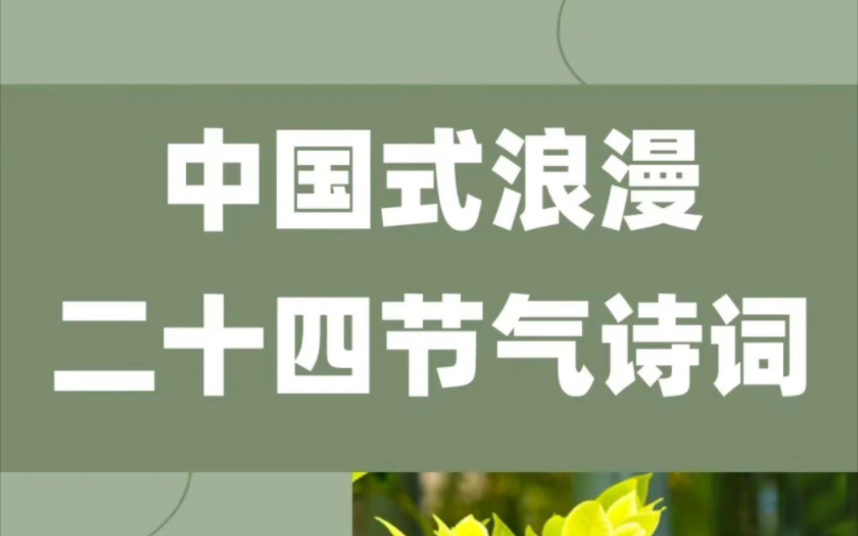 正好清明连谷雨,一杯香茗坐其间|盘点二十四节气诗词!哔哩哔哩bilibili