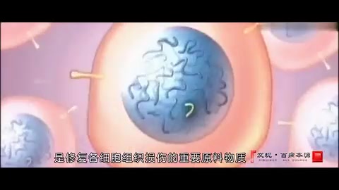 你不可不知的肽的功效(山东欣悦肽)哔哩哔哩bilibili