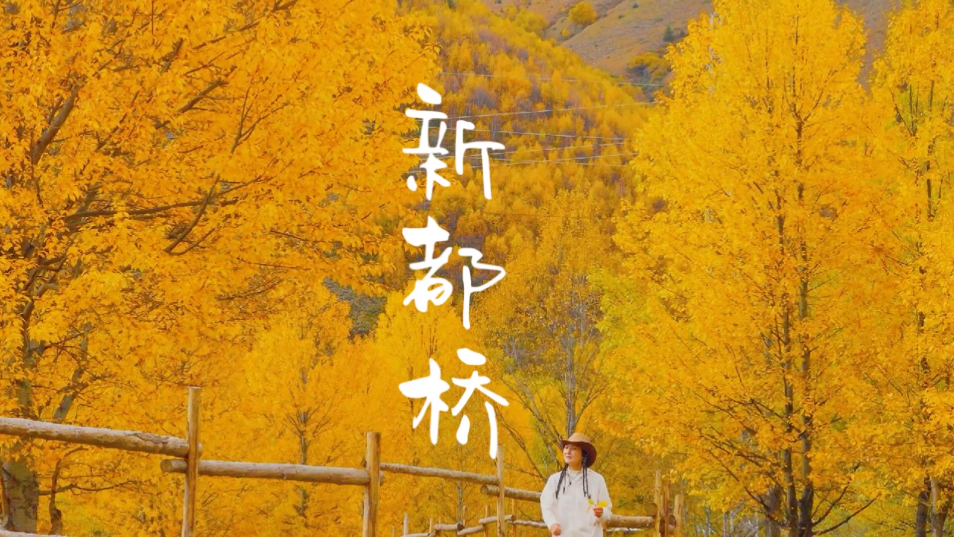 国家地理没骗我！新都桥封神级的赏秋路线！