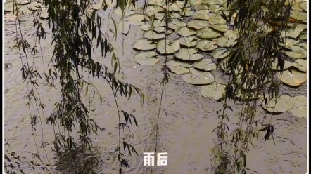 电影感的医大生活,每一帧都是热爱!哔哩哔哩bilibili