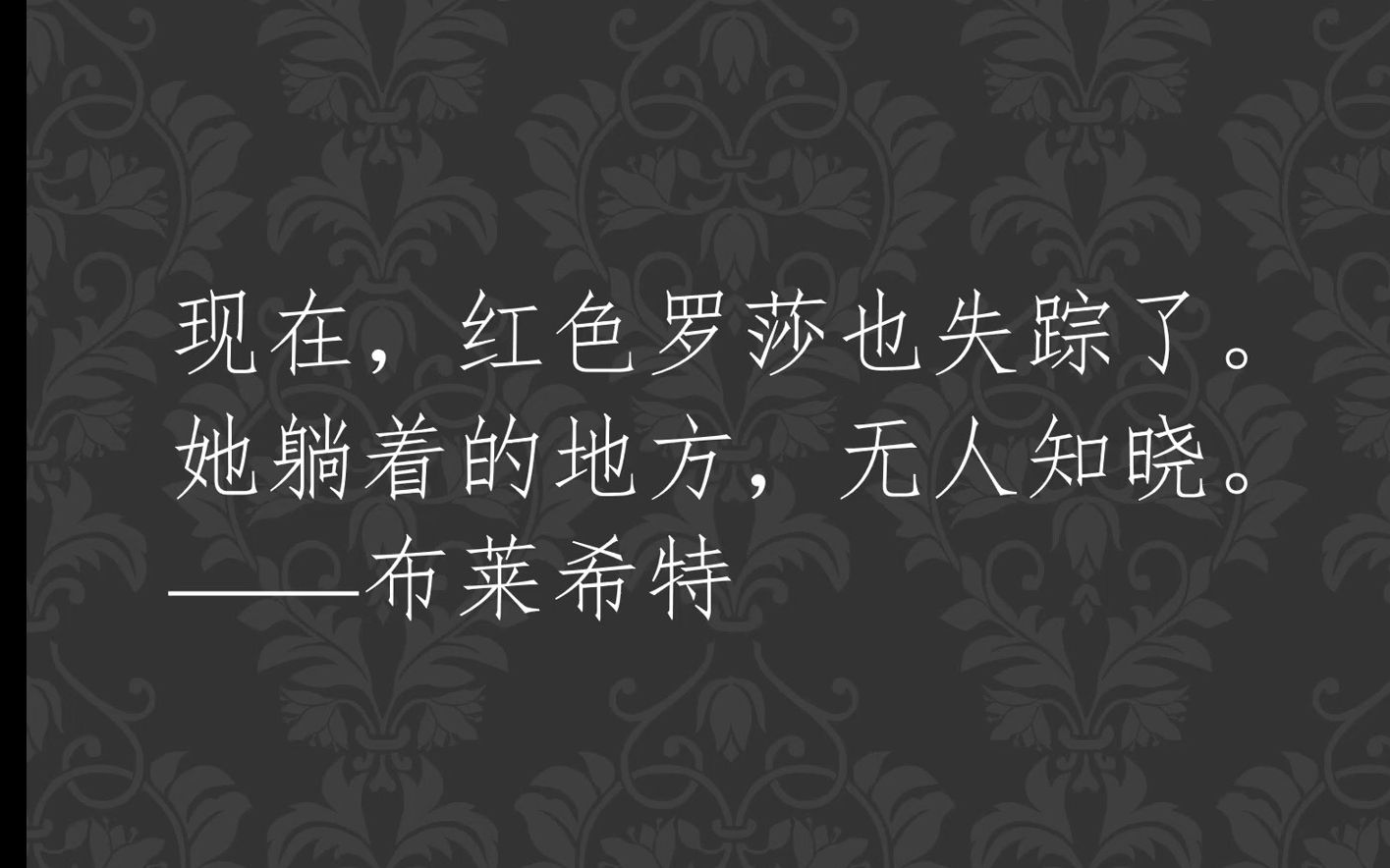 罗莎在华沙:当卢森堡比列宁更列宁主义的时候哔哩哔哩bilibili