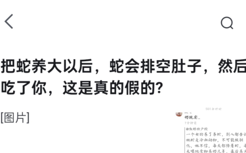 把蛇养大以后,蛇会排空肚子,然后吃了你,这是真的假的?哔哩哔哩bilibili