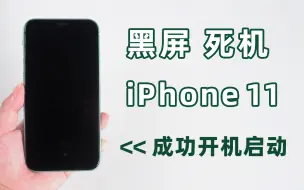 Download Video: iPhone11黑屏无法唤醒屏幕，按启动键无反应的 4 个解救方法！