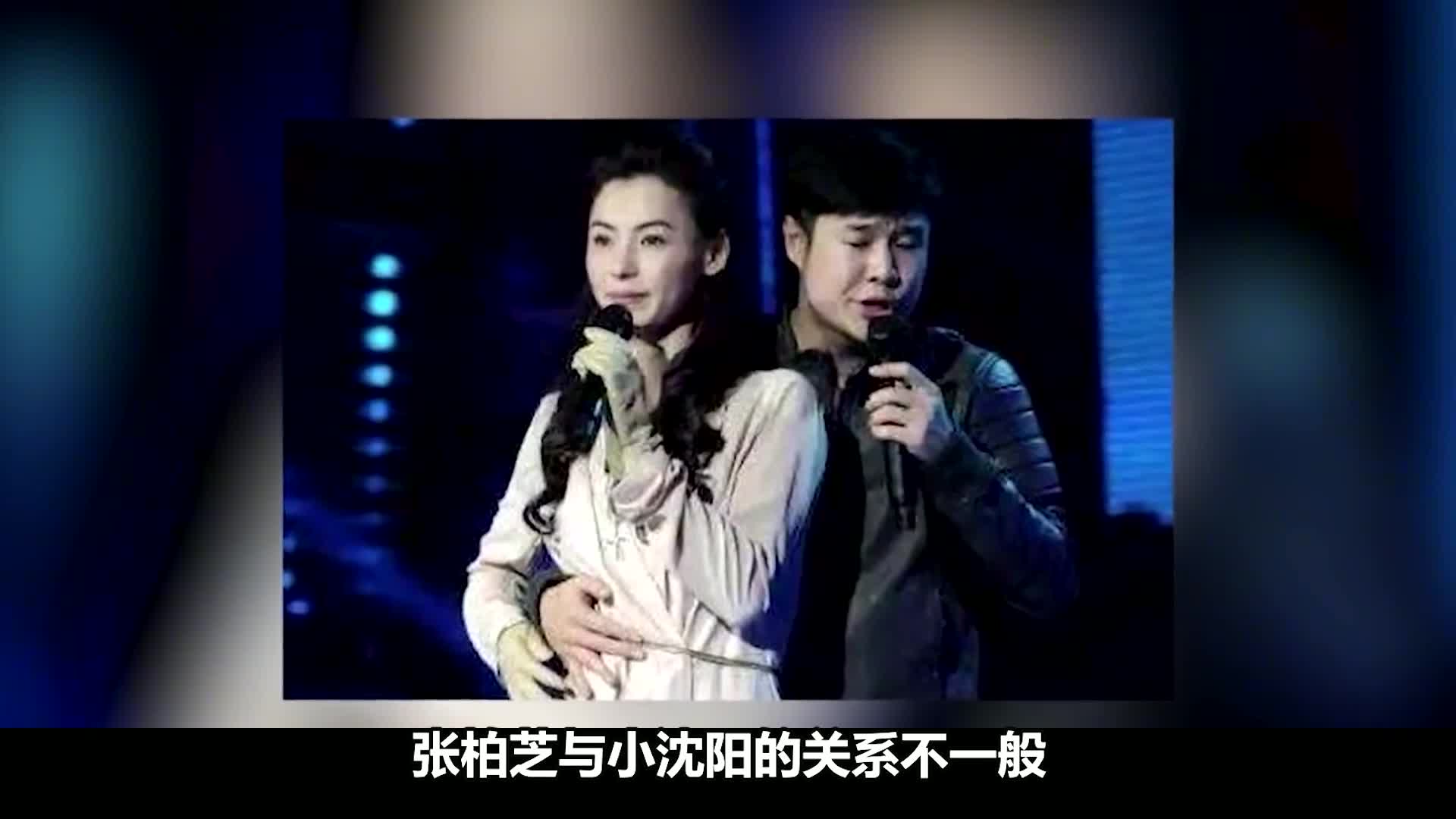 张柏芝与小沈阳的往事哔哩哔哩bilibili