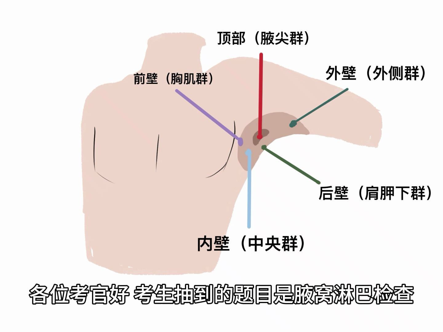 执业医生考之腋窝淋巴结检查